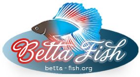 Betta-Fish.org